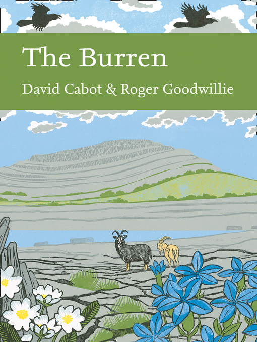 Cover image for The Burren